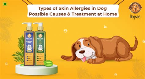 apralyte for dogs|Best medication for allergies to dogs: Types and more .